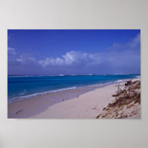 Plage d'atoll intermédiaire posters