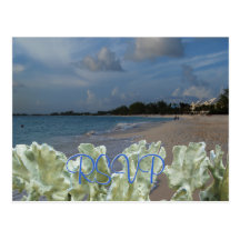 Plage de mariage de RSVP avec le corail bleu Carte Postale