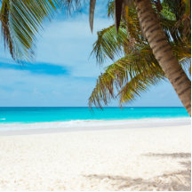 Plage tropicale de paradis photo sculptures