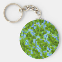 Plagiomnium Affine Plant Cells with Chloroplasts Keychains