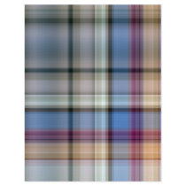 Plaid_Blue Flyer