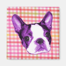 Plaid Boston Terrier Puppy Magnet magnets