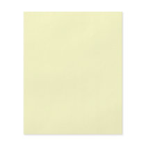 Plain Cream Background Full Color Flyer