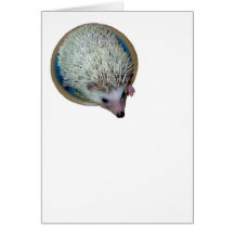 Plain Hedgehog Card ver.2