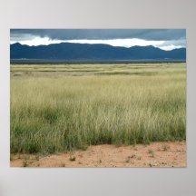 Plains of Jornada del Muerto Poster