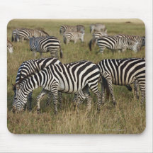 Plains Zebras on migration, Equus quagga, 3 Mouse Pads