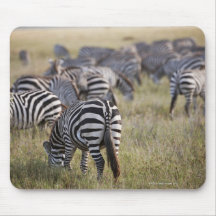 Plains Zebras on migration, Equus quagga, Mouse Pad