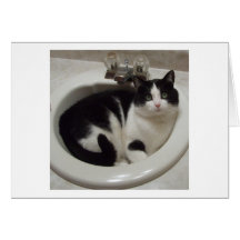 Plaisir d'amoureux de les chats cartes de vœux
