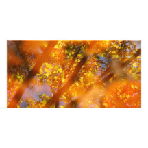 Plaisir d'automne cartes de vœux avec photo