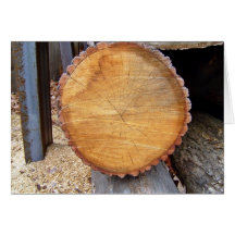 Plan rapproché d'arbre coupé cartes