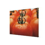Plan rapproché des tomates 2 toile tendue sur châssis