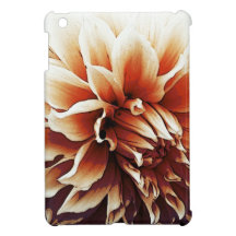 plan rapproché dramatique de dahlia