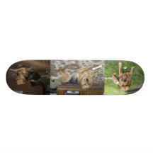 Planche à roulettes chanceuse