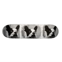 Planche à roulettes de Boston Terrier