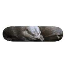 Planche à roulettes de paires de loutre