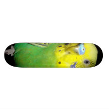 Planche à roulettes de Spritebird