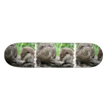 Planche à roulettes d'habitat de loutre