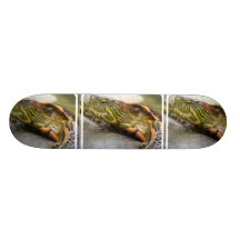 Planche à roulettes d'identification de tortue