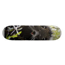 Planche à roulettes du Bearcat 004
