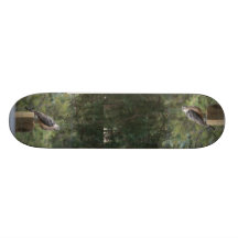 Planche à roulettes du faucon du tonnelier