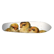 planche à roulettes - poussins de bébé