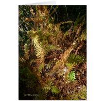 Plancher de forêt d'automne carte