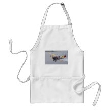 Plane Flying over Water Aprons