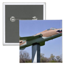 Plane in show with trees and sky in background pins