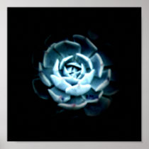 Planet Echeveria 2 Print