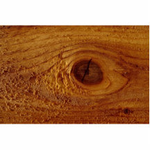 Plank of wood, close-up texture acrylic cut out