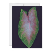 Plant Ace of Hearts Custom Invites