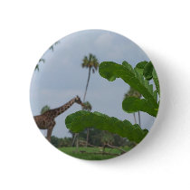 Plant and blue sky with giraffes in the background pinback button