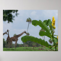 Plant and blue sky with giraffes in the background print