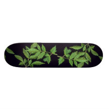 Plant Astilbe Skate Decks