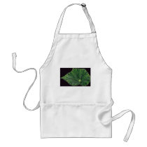 Plant Begonia Apron