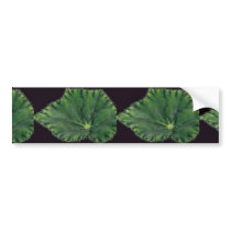 Plant Begonia Bumper Stickers