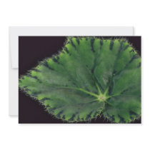 Plant Begonia Personalized Invite