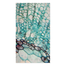 plant cells micrography business card templates