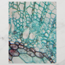 plant cells micrography custom flyer