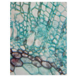 plant cells micrography flyers