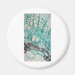 plant cells micrography magnet
