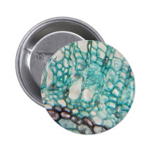 plant cells micrography pinback buttons