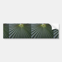 Plant Fandango Bumper Sticker