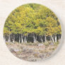 Plant/Flower Series---Aspen Grove Coaster