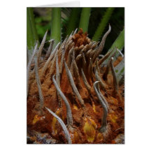 Plant Green Greeting Card