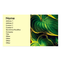 Plant - Hosta Leaves Business Card