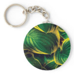 Plant - Hosta Leaves Keychain