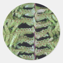 Plant Leafy Sticker