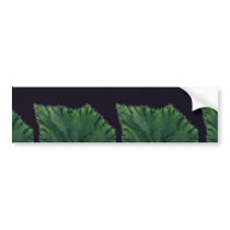 Plant Rex Begonia Bumper Stickers