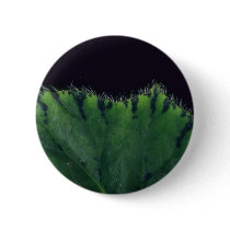 Plant Rex Begonia Pinback Buttons